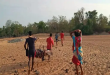 CG-महाराष्ट्र बॉर्डर पर मुठभेड़ में 5 नक्सली ढेर: