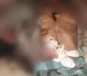 दिनदहाड़े घर में घुसकर गला रेत डाला!  40 वर्षीय व्यक्ति की निर्मम हत्या, लगातार दो हत्याओं से गांव में दहशत