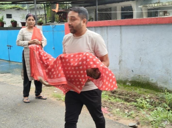 कोरबा: 11 केवी बिजली लाइन की चपेट में आने से बंदर की मौत