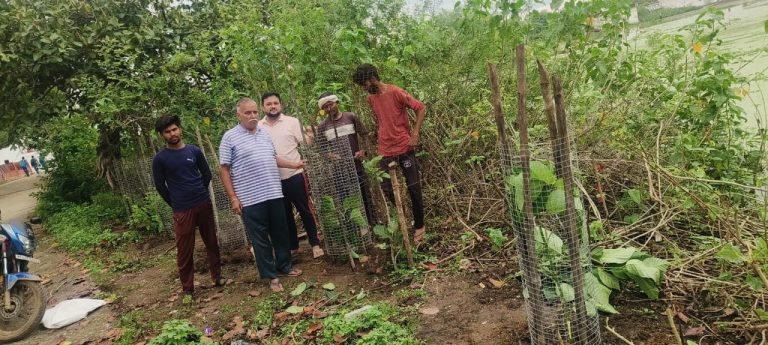 पंडरिया: बांधा तालाब परिसर में किया गया वृक्षारोपण, लगाए गए बरगद, कदम, आंवला जैसे पौधे