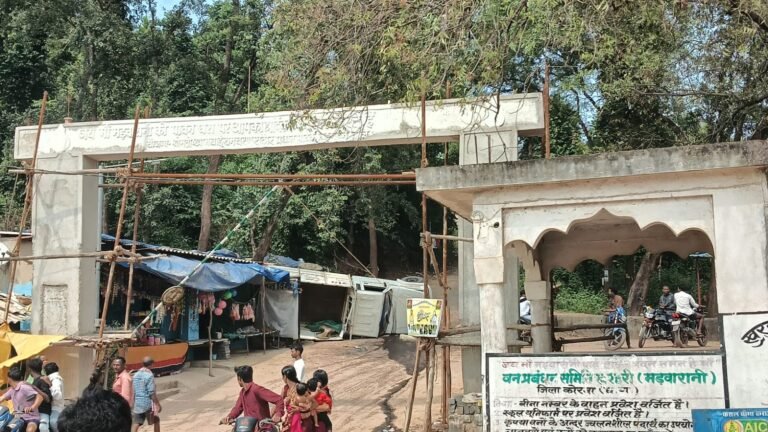मां मड़वारानी पहाड़ पर बड़ा हादसा: श्रद्धालुओं से भरी पिकअप पलटी, कई घायल, 10 वर्षीय बच्चा गंभीर
