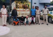 उरगा पुलिस की कार्रवाई: अवैध रूप से बैल परिवहन करते 4 आरोपी गिरफ्तार, 7 जीवित पशु और वाहन जप्त