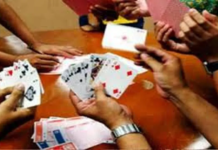 कोरबा में बड़ा जुआ फड़ उजागर, थाना प्रभारी निलंबित, एसपी के निर्देश पर जंगल में छापेमारी, 20 जुआरी गिरफ्तार, लाखों की जब्ती