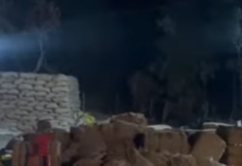 चचिया धान खरीदी केंद्र में हाथी की एंट्री, कर्मचारियों में मची अफरा-तफरी