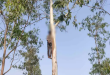 वैलेंटाइन वीक में दर्दनाक घटना: शादी में देरी से आहत प्रेमी-युगल ने की आत्महत्या, इलाके में शोक