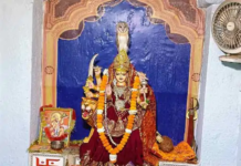 कपिलेश्वर महादेव मंदिर में अनोखा दृश्य, मां दुर्गा की प्रतिमा पर बैठा उल्लू