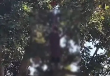 कोरबा में दो छात्राओं की आत्महत्या से सनसनी, अलग-अलग घटनाओं में 10वीं और 9वीं की छात्रा ने लगाई फांसी