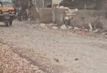 अंधड़-बारिश से लुढ़का तापमान: आज भी बिगड़ा रहेगा मौसम, कई जिलों में बारिश और ओलावृष्टि