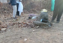 कोरबा में जंगली हाथी का हमला: उपार्जन केंद्र के प्रभारी को कुचलकर मार डाला, पत्नी ने भागकर बचाई जान