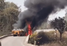 तेज रफ्तार हाईवा और ट्रक की भीषण टक्कर, एक ड्राइवर जिंदा जला… पुल पर मची अफरा-तफरी