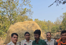 कोरबा में दिल दहला देने वाली वारदात, चरित्र शंका में पति ने पत्नी की डंडे से पीट-पीटकर हत्या