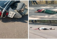 कोरबा में भीषण सड़क हादसा: तेज रफ्तार वाहन की चपेट में आए दंपत्ति, दोनों की मौत