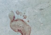 जांजगीर चांपा में बुजुर्ग दंपति की गला रेत कर हत्या:- जमीन में पति तो खाट में पत्नी के खून से लथपथ शव ,हत्या का कारण अज्ञात, जमीन में हत्यारे के पैर के निशान