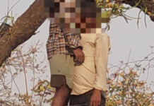 कोरबा जिले के जंगल में दो युवकों का मिला शव, शिनाख्त के लिए पुलिस ने बिछाई ‘फील्डिंग’