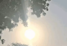 मध्य छत्तीसगढ़ में हीट वेव का अलर्ट, अगले 5 दिन पड़ेगी भीषण गर्मी, रातें भी रहेंगी तपती