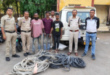 BREAKING NEWS: CSEB प्लांट से 300 मीटर कॉपर केबल चोरी, 3 आरोपी गिरफ्तार