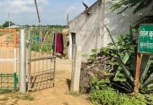 कोयला लेवी मामले में हाईकोर्ट का बड़ा फैसला: रानू साहू और परिजनों की 9 अपीलें खारिज