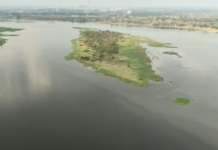 कोरबा की जीवनदायिनी को मिलेगा ’अमृत’, 165 करोड़ से संवरेगी हसदेव की धारा