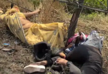 भीषण सड़क हादसा: ट्रेलर-बाइक टक्कर में पति-पत्नी की मौत, युवती गंभीर