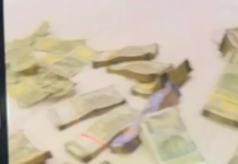 होटल में IPL सट्टे का खेल: बिस्तर पर नोटों की गड्डियां, वीडियो वायरल होने के बाद पुलिस महकमे में हड़कंप