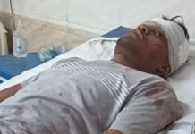 कोरबा में पिकनिक से लौट रहे युवकों का ऑटो खाई में गिरा : एक की मौत, 7 से ज्यादा घायल