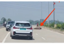 भारतमाला मार्ग पर ‘टेरर टैक्स’ का आतंक! मृत मवेशियों के शव रखकर वाहन चालकों से अवैध वसूली