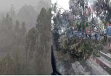 छत्तीसगढ़ में बदला मौसम का मिजाज: आंधी-तूफान और बारिश से गर्मी से राहत, कई जिलों में जनजीवन प्रभावित