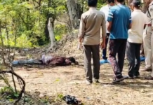 कोरबा ब्रेकिंग: जंगल में खून से लथपथ युवक की लाश मिलने से सनसनी