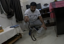 Korba News: जिला अस्पताल में डॉक्टर की टेबल के नीचे मिला जहरीला कोबरा, RCRS टीम ने किया सुरक्षित रेस्क्यू