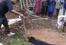 कोरबा जिला अस्पताल में निकला 5 फीट लंबा कोबरा, रेस्क्यू टीम ने सुरक्षित पकड़ा