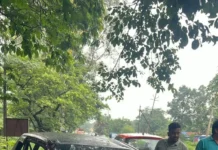 कटघोरा में अज्ञात ट्रक ने ऑल्टो को मारी टक्कर, चालक वाहन समेत फरार