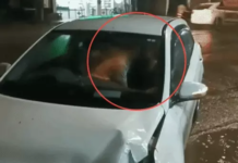 फुटपाथ पर चढ़ी तेज रफ्तार कार, हादसे के बाद कपल का KISS VIDEO वायरल; 2 हजार का चालान