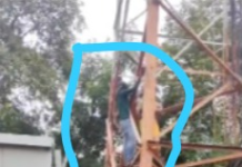 मोबाइल टावर पर चढ़ी किशोरी, डेढ़ घंटे तक चला हाई वोल्टेज ड्रामा, डायल-112 टीम ने सुरक्षित उतारा