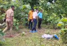 Katghora Crime News: सागौन बाड़ी में जली लाश का राज, कौन थी महिला? अर्धनग्न शव, टूटी चूड़ियां और बिखरे रुपये से गहराया रहस्य