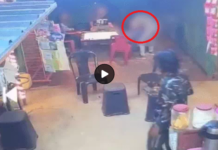 चाय पी रही छात्रा को युवक ने जबरन किया किस, VIDEO में कैद हुई पूरी घटना; विरोध पर सहेली से भी मारपीट