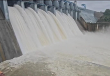 Bango Dam Gate Open: बांगो बांध के 7 गेट खुले, हसदेव नदी में छोड़ा जा रहा 41 हजार क्यूसेक पानी, 34 गांव अलर्ट