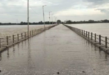 Janjgir-Champa Flood : महानदी उफान पर, शबरी पुल के ऊपर 6 फीट पानी; शिवरीनारायण का संपर्क टूटा