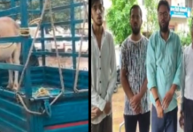 Ajab-Gajab: बैल से परेशान लोगों ने उसे पकड़कर थाने पहुंचाया, FIR दर्ज कर गिरफ्तारी की मांग; पुलिस भी रह गई हैरान