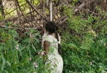 बेटे को जन्म देने के बाद मां ने पेड़ से फांसी लगाकर दी जान, अस्पताल से हुई थी लापता