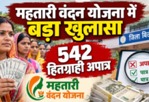 Mahtari Vandan Yojana: 542 महिलाएं अपात्र, करीब 30 लाख की वसूली; 98.58% हितग्राहियों का सत्यापन पूरा