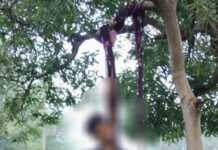 कोरबा के लेमरू में प्रेमी जोड़े ने फांसी लगाकर की खुदकुशी, पेड़ से लटके मिले शव; इलाके में फैली सनसनी