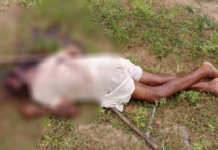 Korba Crime: जमीन बंटवारे के विवाद में 85 वर्षीय बुजुर्ग की हत्या, भतीजे पर टांगिया से हमला करने का आरोप