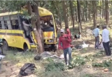 भीषण सड़क हादसा: यात्री बस पेड़ से टकराई, बच्ची समेत 6 की मौत, 15 से ज्यादा घायल