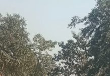 Korba News: हरदीबाजार में थाने से चंद कदम दूर कबाड़ का कारोबार! पेट्रोल पंप के पास माल का जमावड़ा