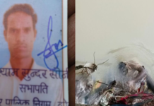 Korba News: तीन दिन से लापता युवक का नहर में मिला शव, सायफन पुल के पास पानी में तैरता दिखा; जांच में जुटी पुलिस