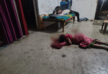 CG Double Murder: डोंगरगढ़ में डबल मर्डर से सनसनी, मां-बेटे की हत्या, बेटी गंभीर रूप से घायल