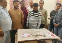 Korba News: फुटहामुड़ा पिकनिक स्पॉट पर जुआ खेलते 8 आरोपी गिरफ्तार, ₹14,700 नकद सहित 7 बाइक और 7 मोबाइल जब्त