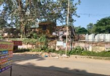 पाली जनपद पंचायत कार्यालय के सामने फैली गंदगी, स्वच्छता व्यवस्था पर उठे सवाल