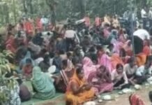 Korba News: 9 हाथियों के झुंड में जन्मे नन्हे हाथी की गांववालों ने मनाई छठी, प्यार से रखा ‘काशी’ नाम